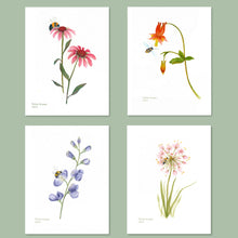 Load image into Gallery viewer, Native Flower Watercolor Note Card Assortment, Set of 8