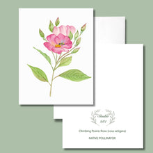 Load image into Gallery viewer, Climbing Prairie Rose, Native Flower Watercolor Note Cards