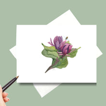 Load image into Gallery viewer, Carolina Allspice-Calycanthus floridus, Native Flower Watercolor Note Card Set