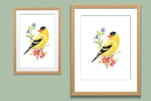 Load image into Gallery viewer, Yellow Finch Watercolor Print. Wall Art Print
