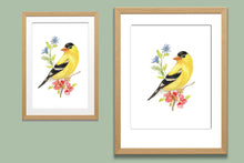 Load image into Gallery viewer, Yellow Finch Watercolor Print. Wall Art Print