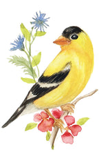 Load image into Gallery viewer, Yellow Finch Watercolor Print. Wall Art Print
