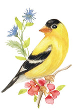Load image into Gallery viewer, Yellow Finch Watercolor Print. Wall Art Print