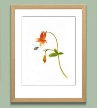Load image into Gallery viewer, Columbine Watercolor Print