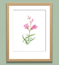 Load image into Gallery viewer, Purple False Foxglove Watercolor Print. Wall Art Print