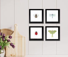 Load image into Gallery viewer, Framed Watercolor Pollinators Art
