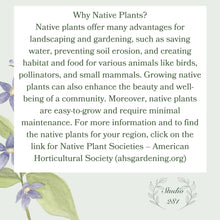 Load image into Gallery viewer, Greeting Card, 5 x7 Personalized native flowers with envelopes, FREE SHIPPING
