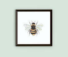 Load image into Gallery viewer, Framed Watercolor Pollinators Art
