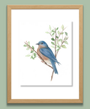 Load image into Gallery viewer, Blue Bird 24 Watercolor Print
