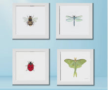 Load and play video in Gallery viewer, Framed Watercolor Pollinators Art
