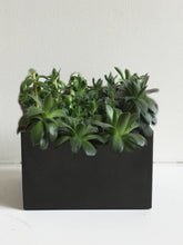 Load image into Gallery viewer, Square Concrete Planter
