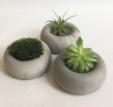 Load image into Gallery viewer, Set of 3 Round  Concrete Tea Light Holder
