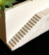 Load image into Gallery viewer, Architectural Concrete Planters Set of 2
