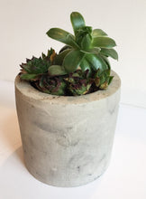 Load image into Gallery viewer, Cylinder Concrete Planter Assortment
