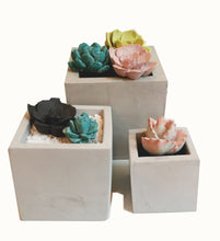 Load image into Gallery viewer, Square Concrete Planter Assortment
