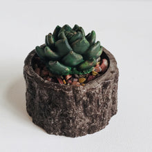 Load image into Gallery viewer, Concrete Wood Bark Planter
