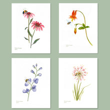 Load image into Gallery viewer, Native Flower Watercolor Note Card Assortment, Set of 8
